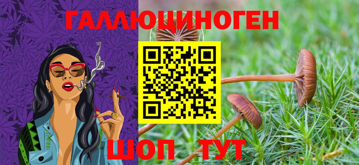 Галлюциногенные грибы Psilocybe  Вход с VPN  Галлюциногенные грибы GOLDEN TEACHER  Ревда 
