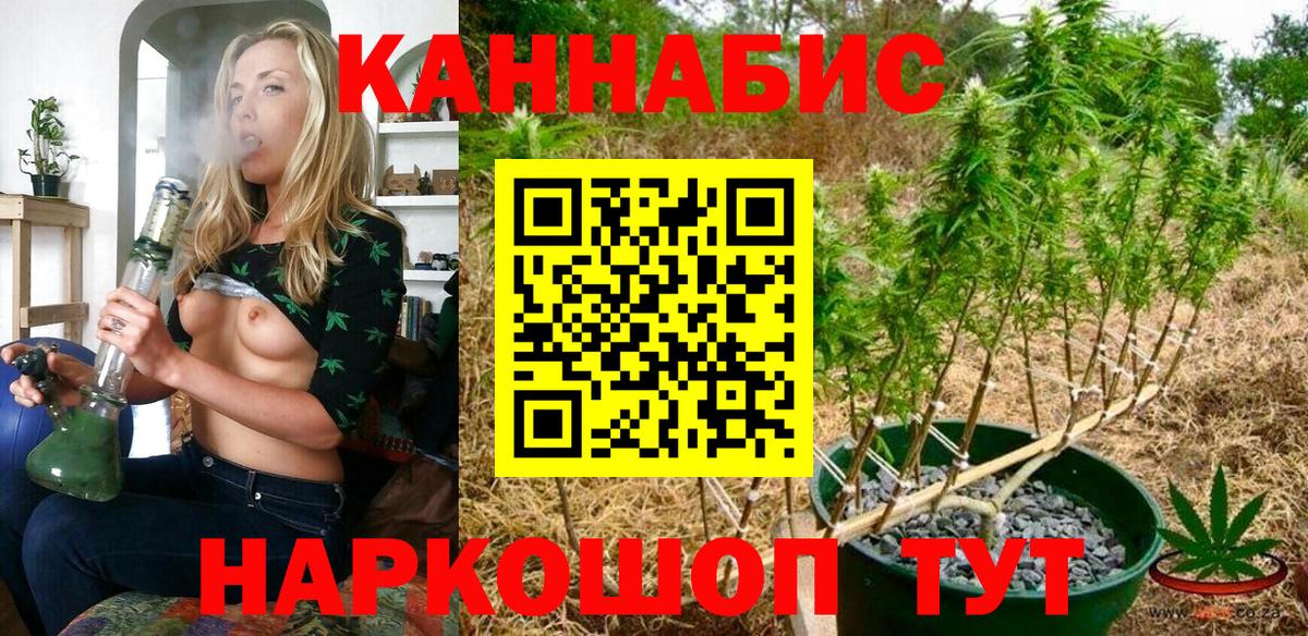 Бошки марихуана семена Ревда